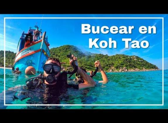 buceo en Koh Tao